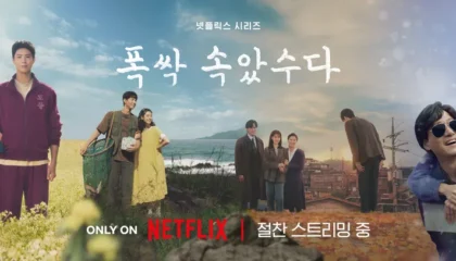 폭삭속았수다