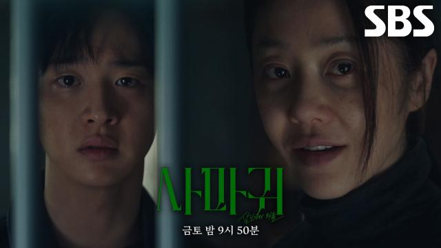 사마귀 : 살인자의 외출